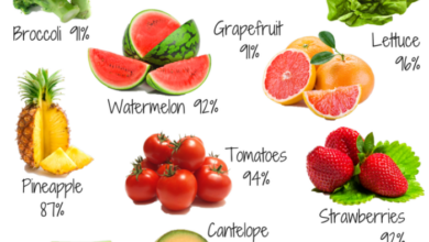 Freeze dried or dehydrated foods