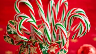 27 neighbor christmas gift idea cookies in a can