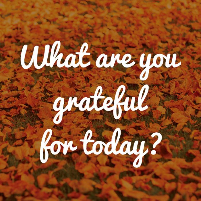 What are you thankful for