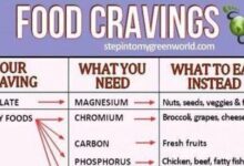 Decoding your food cravings