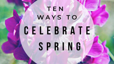 7 ideas to celebrate spring