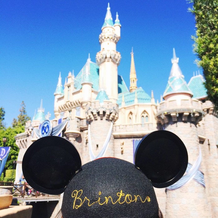 10 ways to save money at disneyland