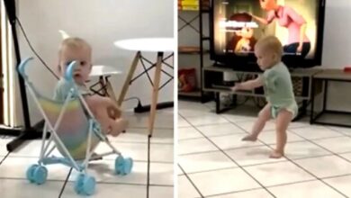 This dancing baby will make your day