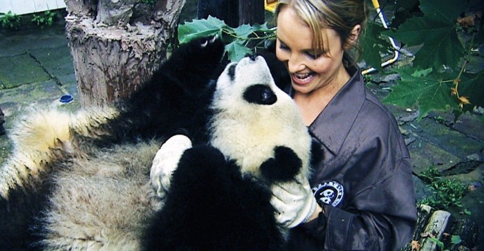 Baby panda sneeze