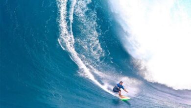 Surfing she is in for the surprise of a lifetime