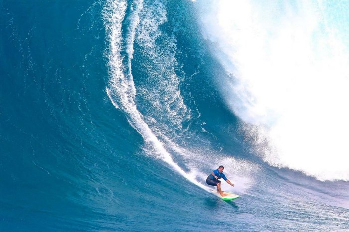 Surfing she is in for the surprise of a lifetime