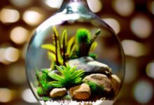 Terrarium artificial tehno eternal bazar club