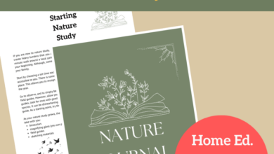 Reusable nature journal tutorial and template