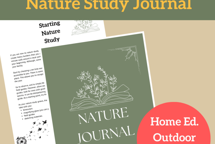 Reusable nature journal tutorial and template