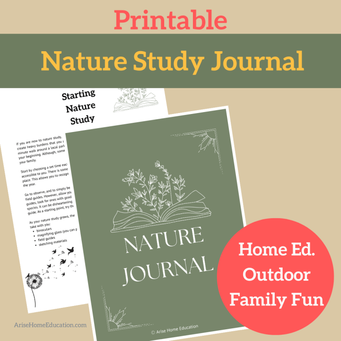 Reusable nature journal tutorial and template