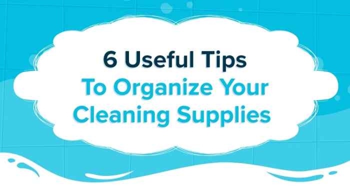 Organized cleaning supplies before and after