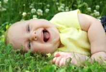 Laughing baby funny babies videos kids