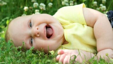 Laughing baby funny babies videos kids