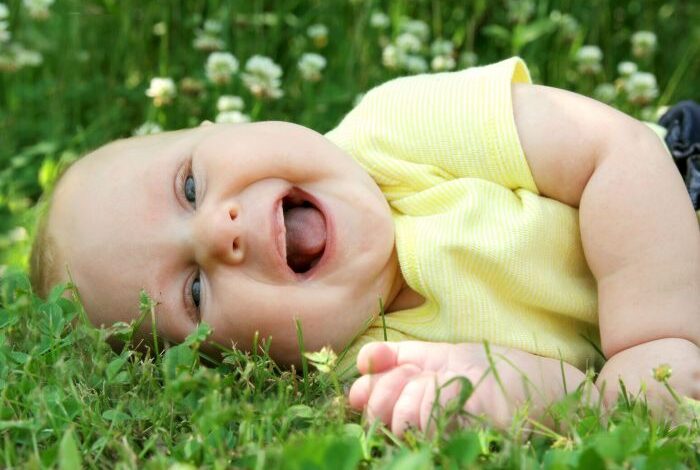 Laughing baby funny babies videos kids