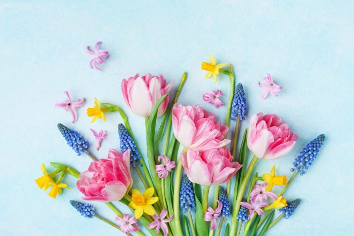 7 ideas to celebrate spring