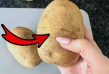 How to peel potatoes fast