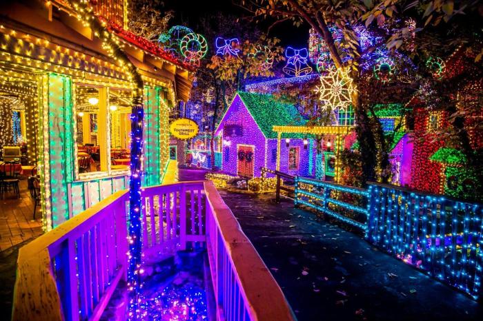 Best christmas light show amazing and hilarious christmas can can