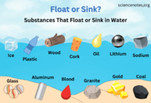 Will it sink or float