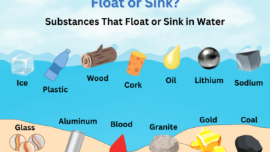 Will it sink or float