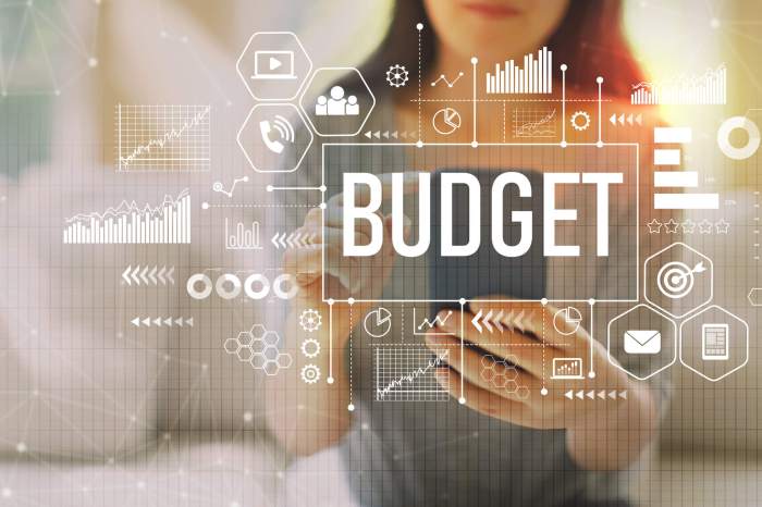 Budget like a pro 8 budget basics