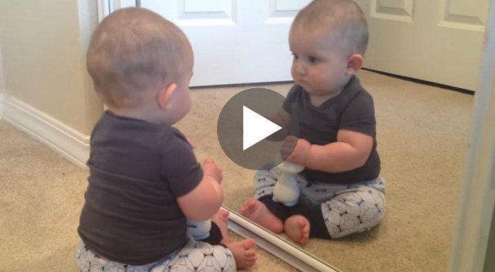 This little guy doesnt recognize himself after he gets a haircut