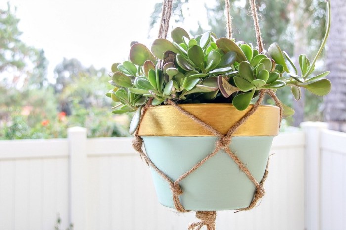 Diy macrame and healthy house plants