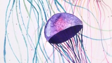 Jelly fish project your kids will love