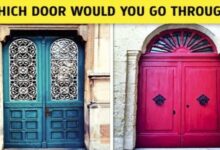 What door would you go through