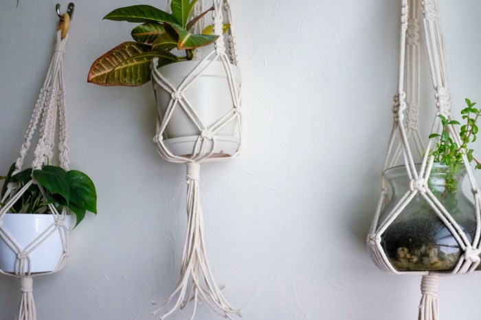 Diy macrame and healthy house plants