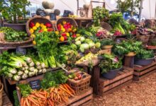 Growing up healthy how to shop at farmers markets