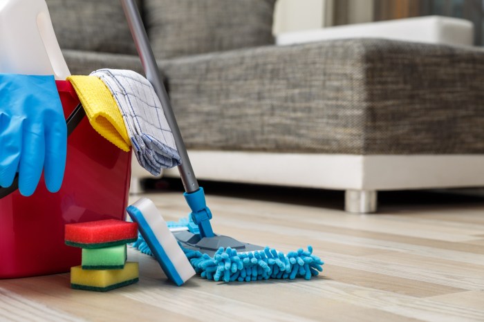 The dirty truth about your home learn to really clean your house