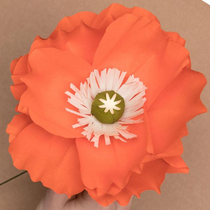 Paper diy poppies coquelicot miliboo