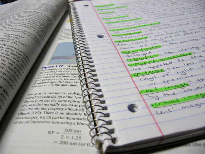Organize your life with notebook