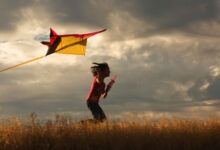 Lets go fly a kite diy kite and kid workout