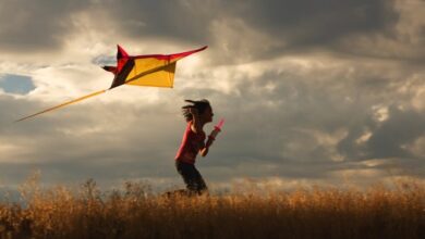 Lets go fly a kite diy kite and kid workout