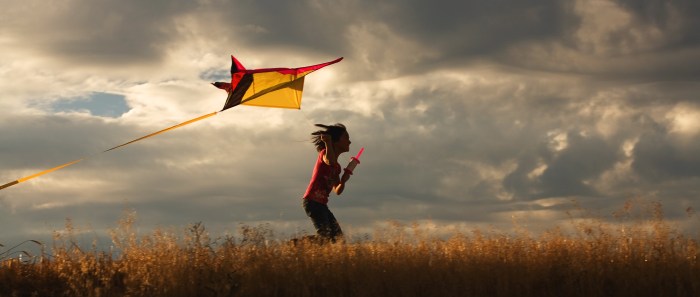 Lets go fly a kite diy kite and kid workout