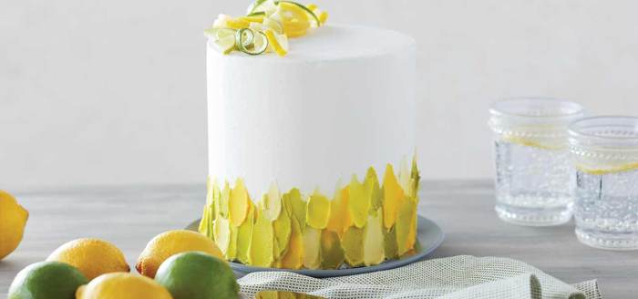 6 amazing ways to decorate a cake 2