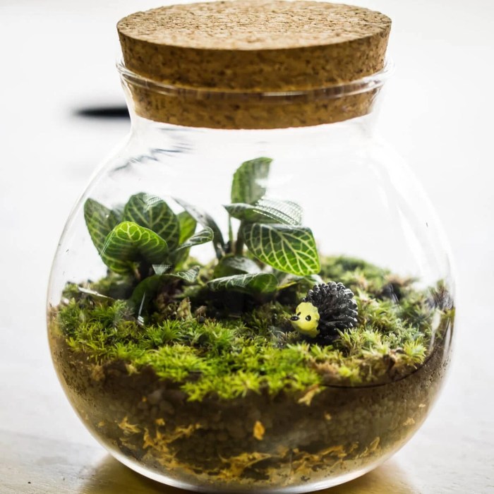 How to create magnificent floral terrariums