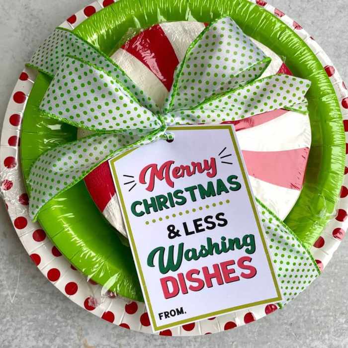 7 neighbor christmas gift idea paper plates