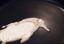 This is the perfect way to make penguin pancakes