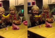 What would your kids do when they opened these terrible presents