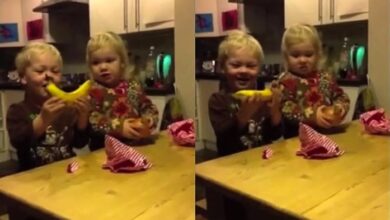 What would your kids do when they opened these terrible presents