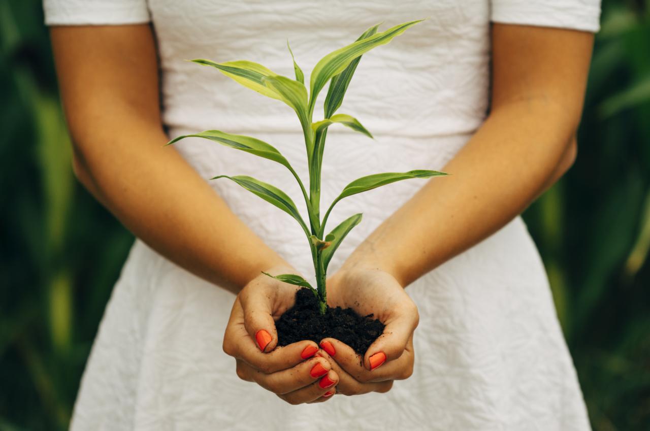 Gardening with my little green thumb