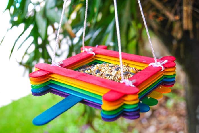 Bird feeders kids can make