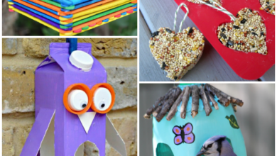 Bird feeders kids can make