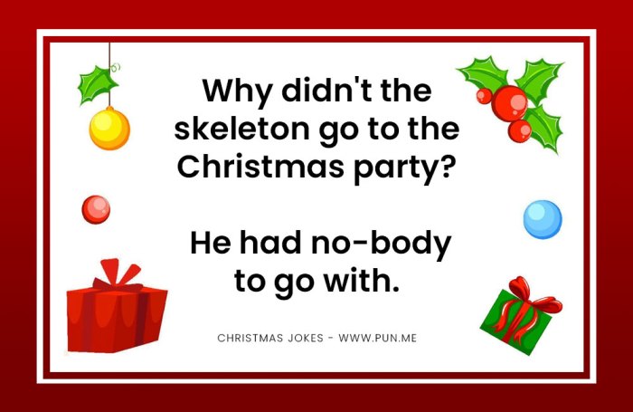 A great christmas funny to make you smile