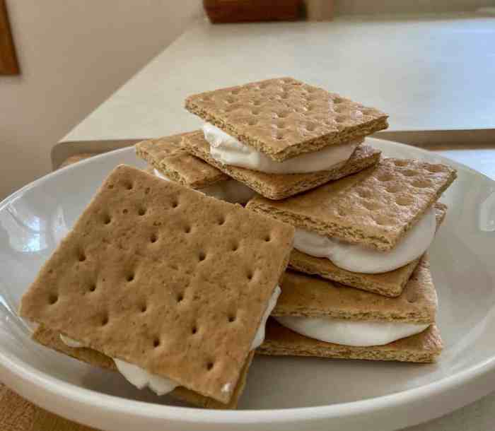 Frozen ice cream lemonade graham crackers