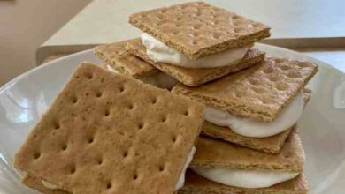 Frozen ice cream lemonade graham crackers