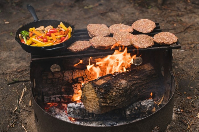 15 delicious campfire foods
