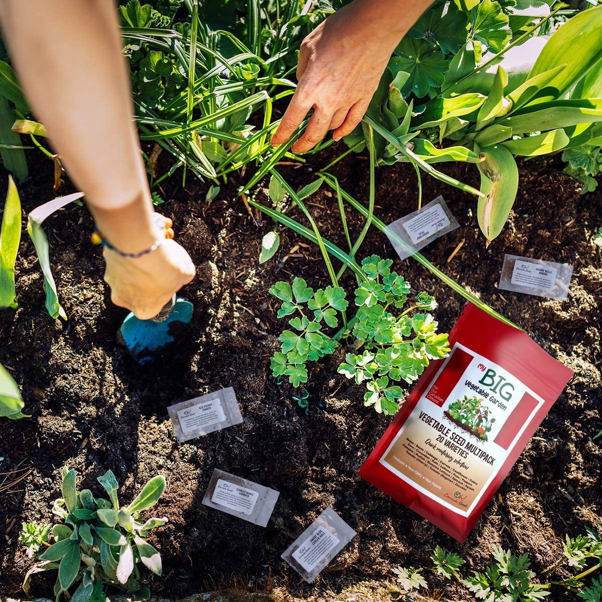 Bring the party to the backyard 3 summer must haves